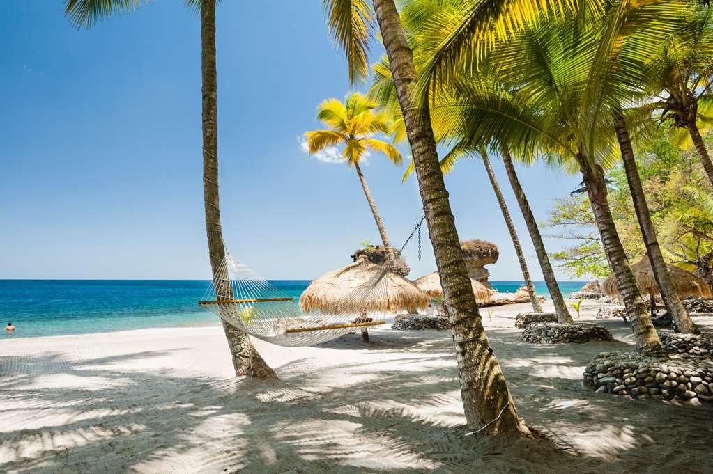 Anse Chastanet Resort Soufrière Natura foto