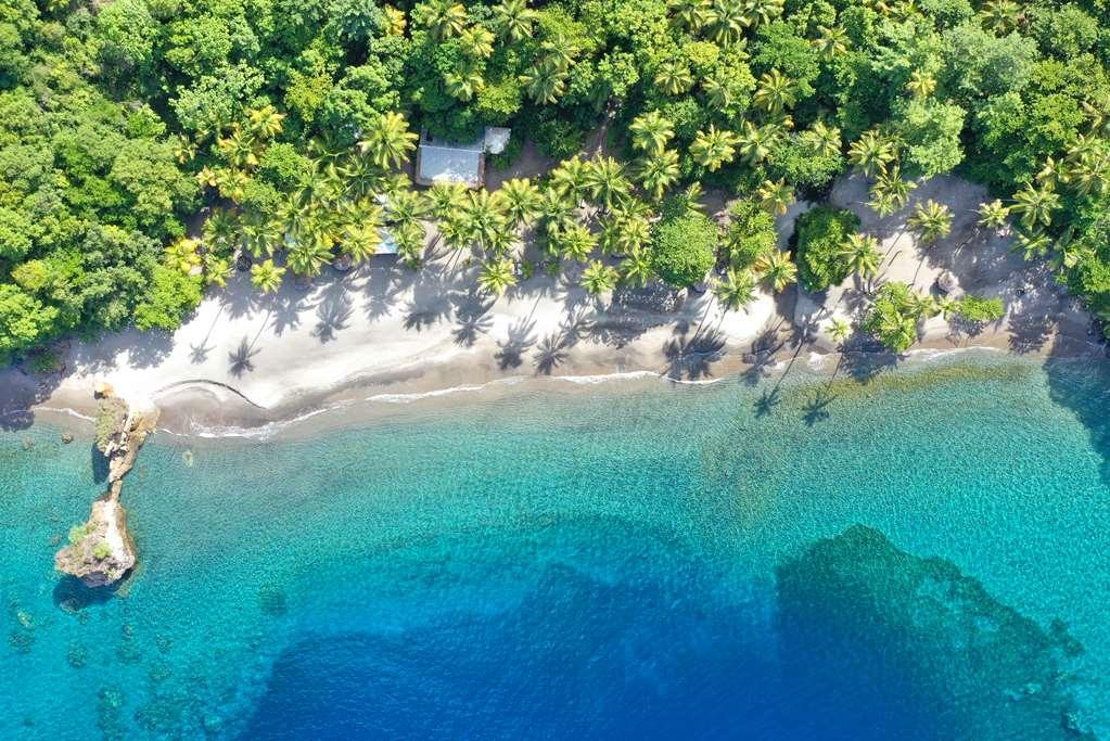 Anse Chastanet Resort Soufrière Natura foto